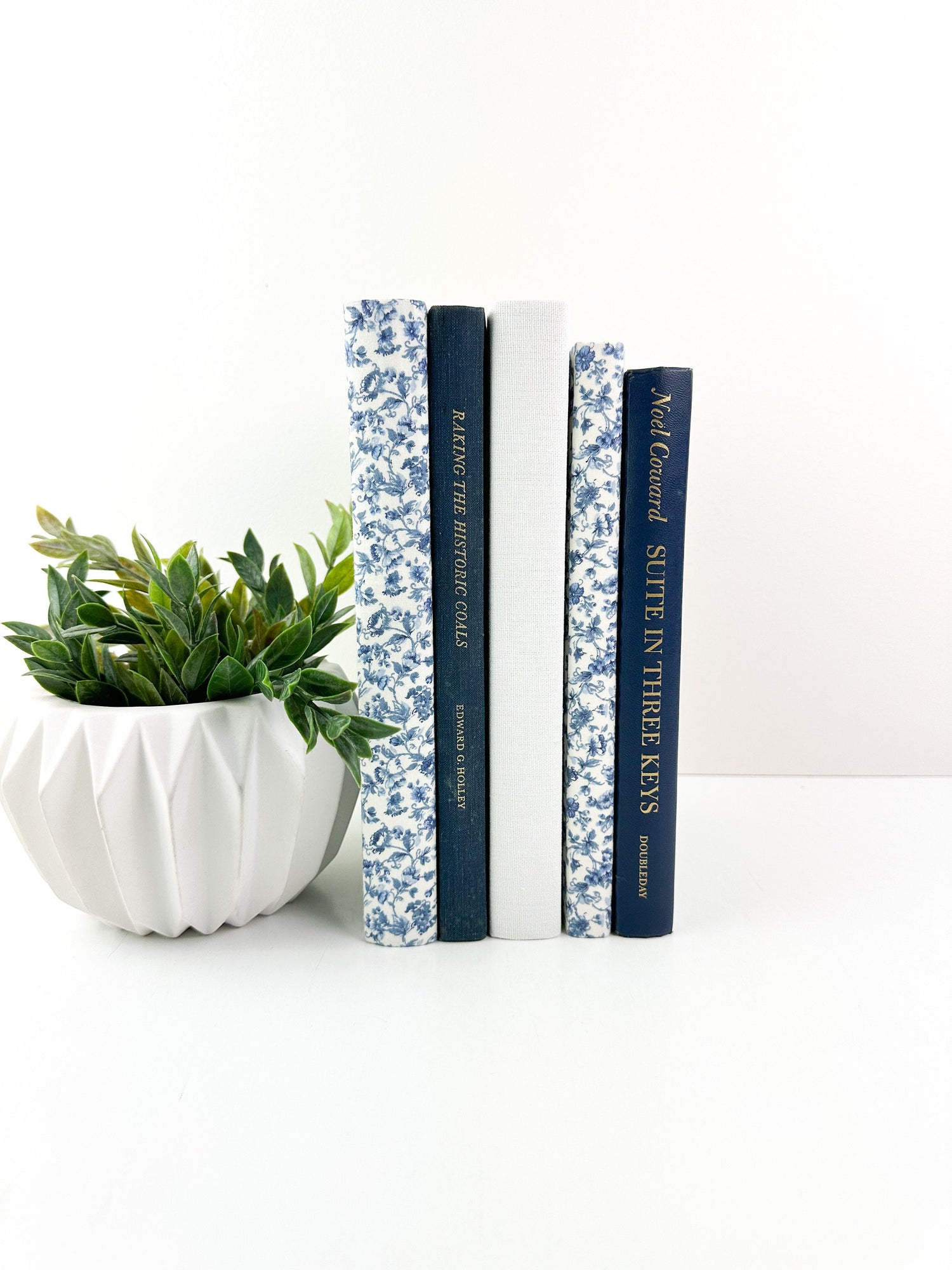 Decorative Books for Living Room Decor, Book Set for Shelf Decor, Book Bundle, Table Decor