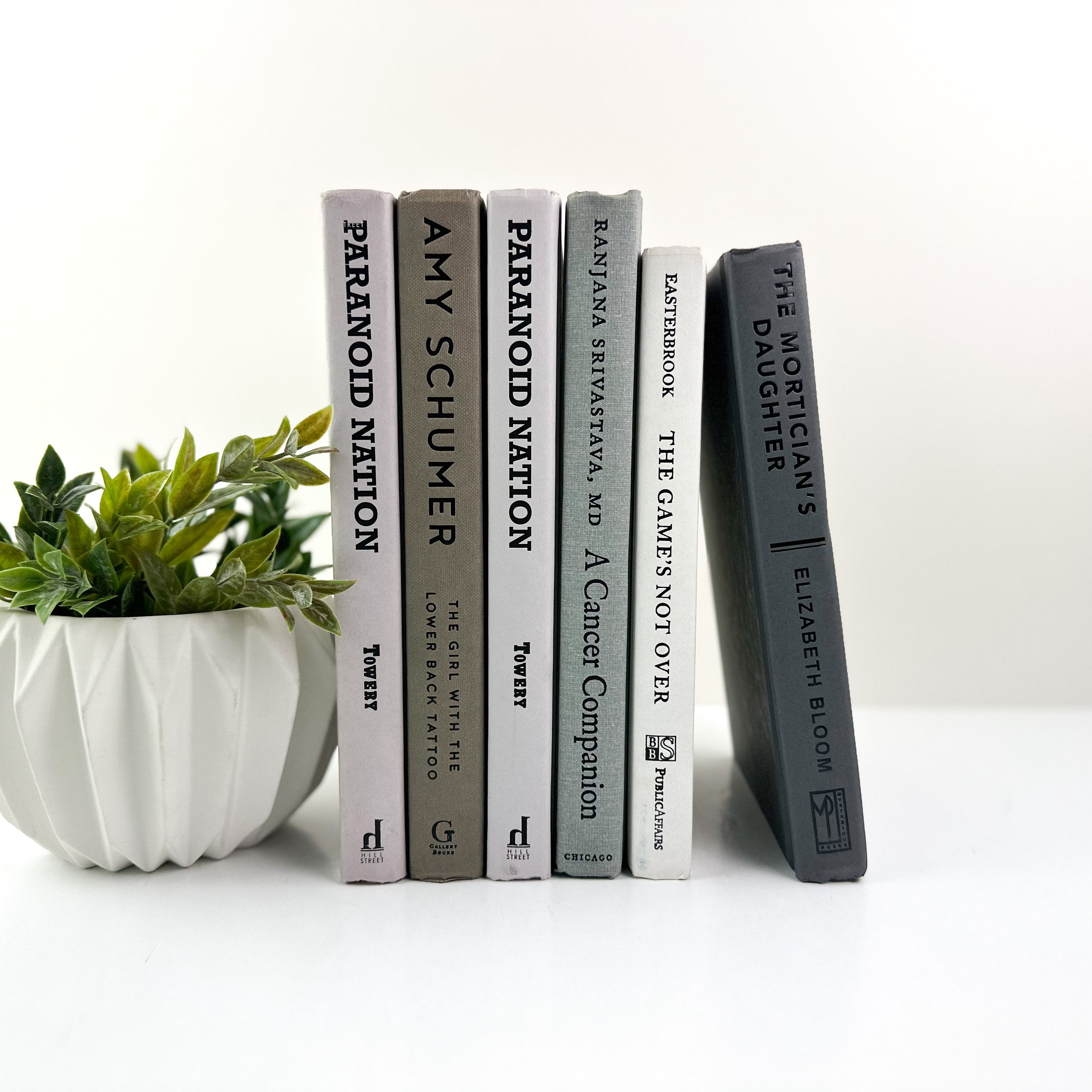 Gray and White Modern Home Decor Elements