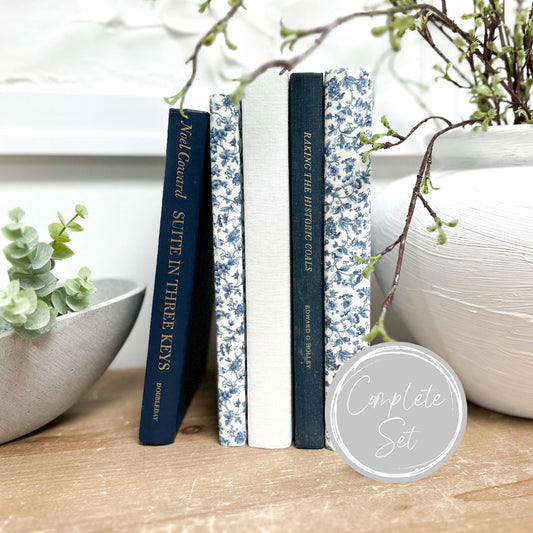 Decorative Books for Living Room Decor, Book Set for Shelf Decor, Book Bundle, Table Decor