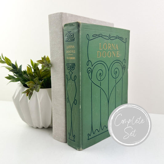Lorna Doone Book, Decorative Books for Living Room Decor, Book Set for Shelf Decor, Book Bundle, Table Decor