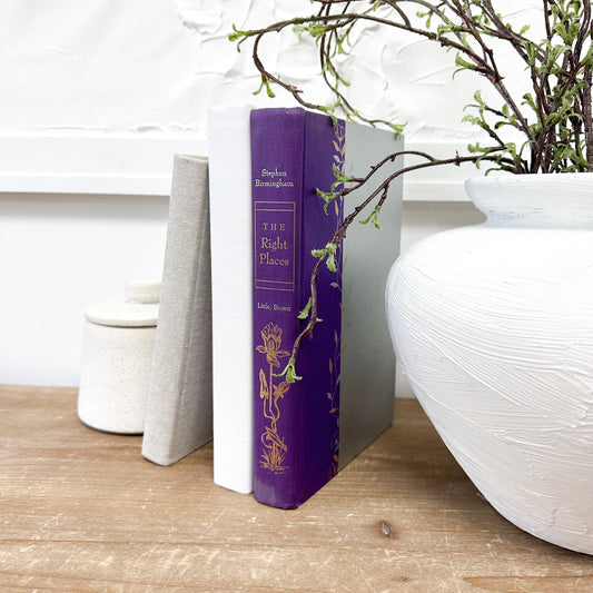 One of a Kind, Books for Shelf Decor, Living Room Decor, Modern Decor, Book Bundle, Book Set