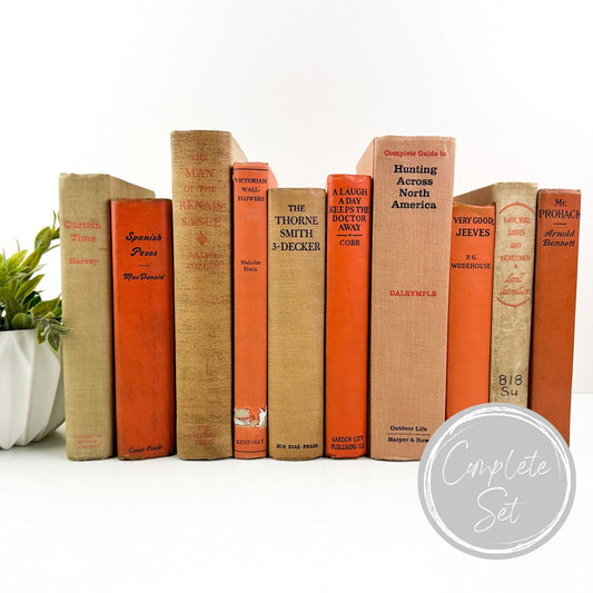 Books for Shelf Decor, Living Room Decor, Modern Decor, Book Bundle, Book Set