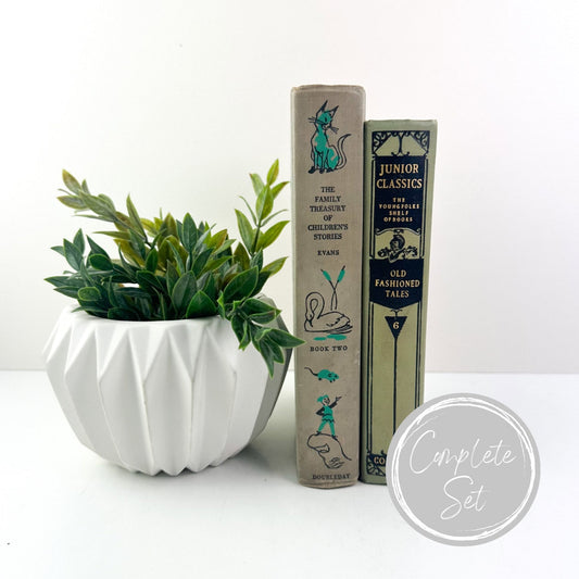 Books for Shelf Decor, Living Room Decor, Modern Decor, Book Bundle, Book Set