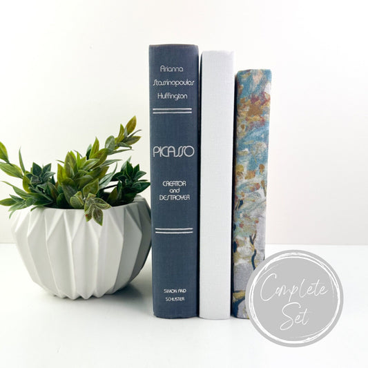 Picasso Decorative Books for Living Room Decor, Book Set for Shelf Decor, Book Bundle, Table Decor