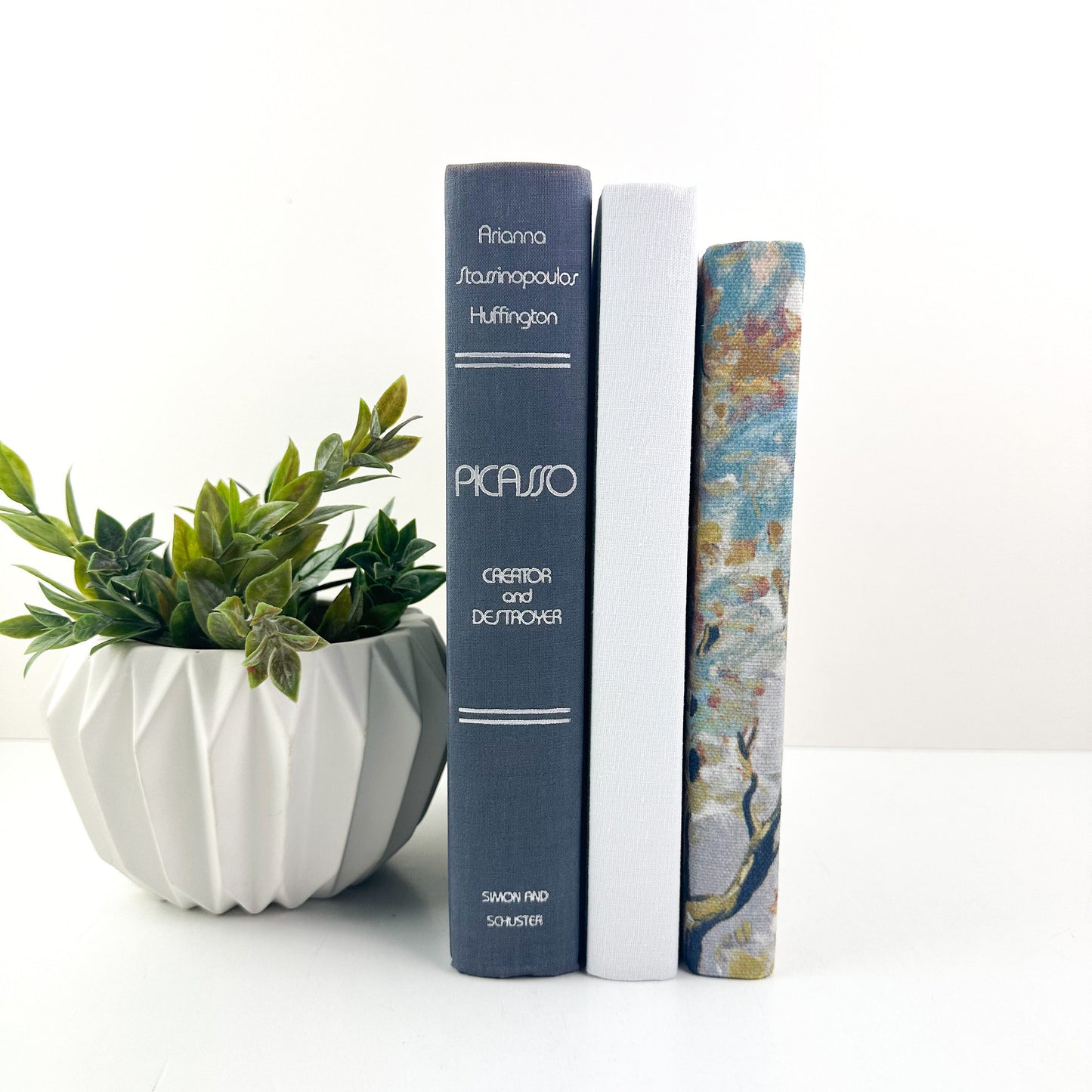 Picasso Decorative Books for Living Room Decor, Book Set for Shelf Decor, Book Bundle, Table Decor