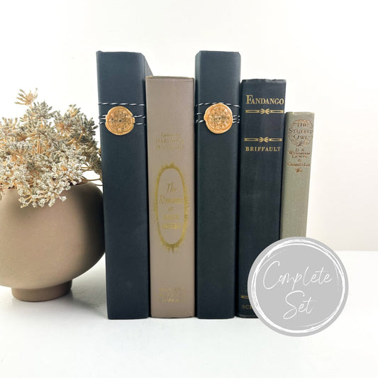 Vintage Book Set, Decorative Books for Shelf Decor, Modern Decor, Living Room Decor Ideas