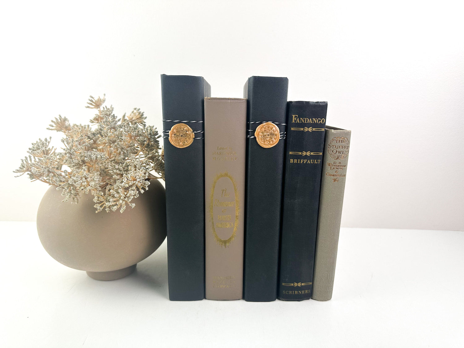 Book Set Back Vintage Book Set – Elements