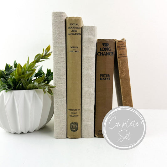 Shelf Decor, Book Set, Decorative Books for Shelf Decor, Modern Decor, Living Room Decor Ideas