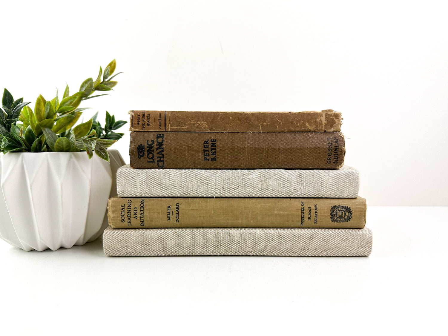 Shelf Decor, Book Set, Decorative Books for Shelf Decor, Modern Decor, Living Room Decor Ideas