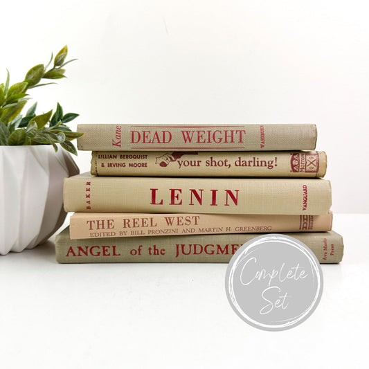 Books for Shelf Decor, Living Room Decor, Modern Decor, Book Bundle, Book Set