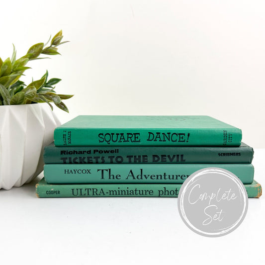 Book Set, Decorative Books for Shelf Decor, Modern Decor, Living Room Decor Ideas