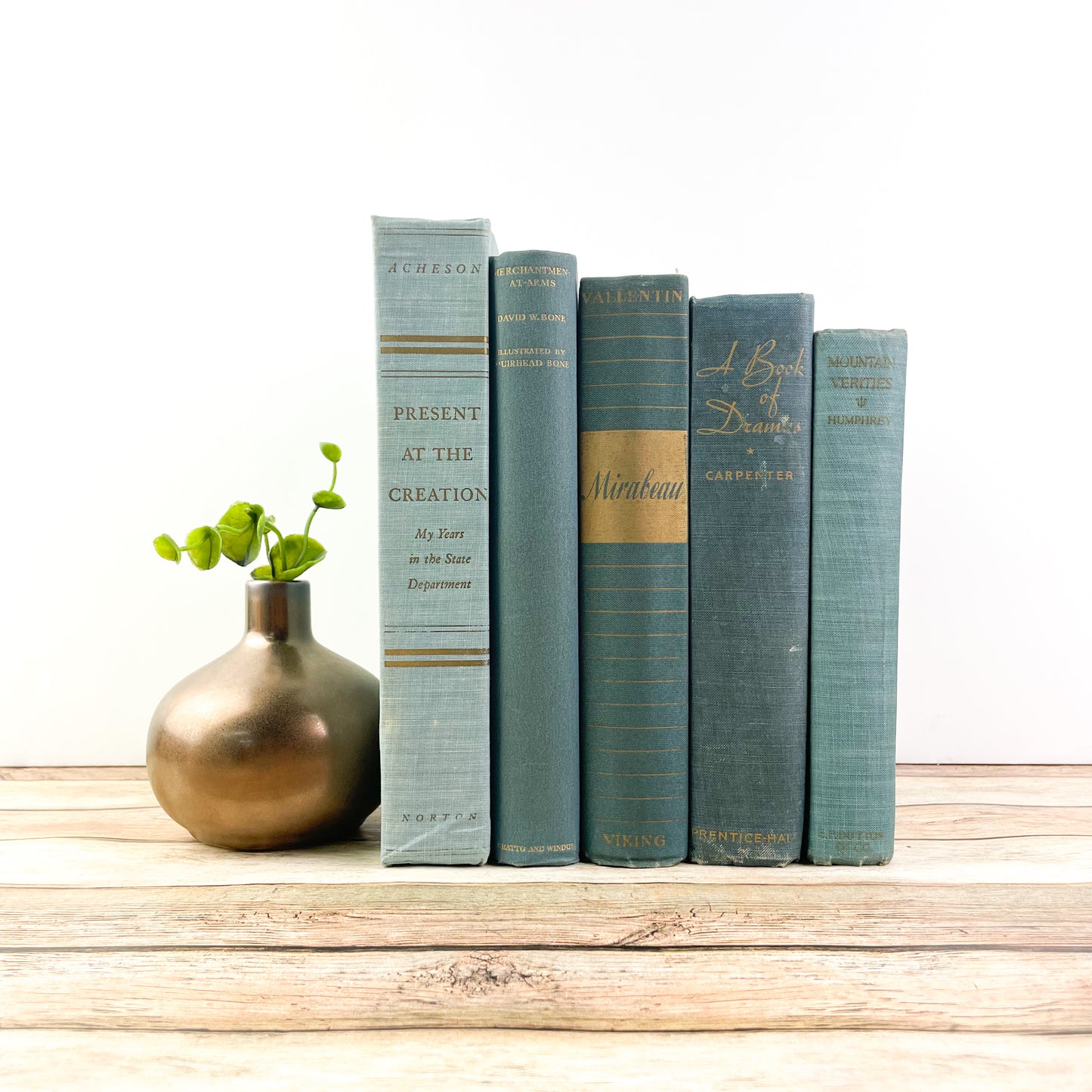 Shades of Blue Books for Home Staging