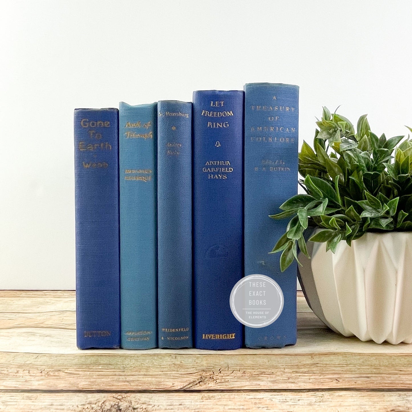 Blue Books for Home Decor