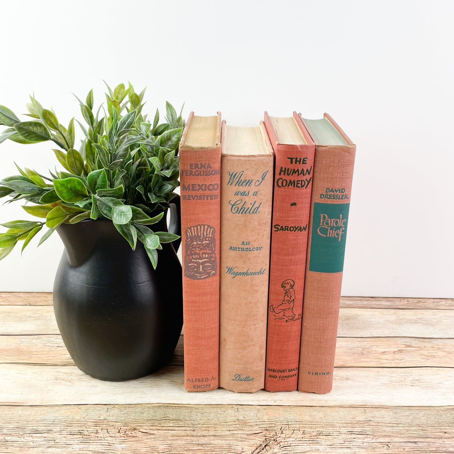 Vintage Orange Bookshelf Decor