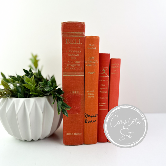 Decorative Book Set