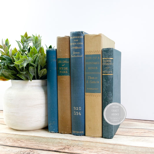 Vintage Blue Books for Shelf Accents