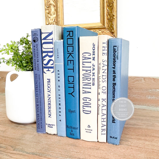 Blue and White Books for Shelf Decor
