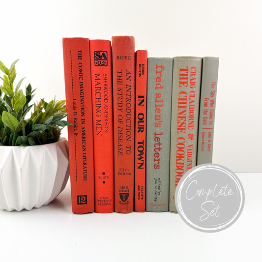 Decorative Books for Shelf Decor