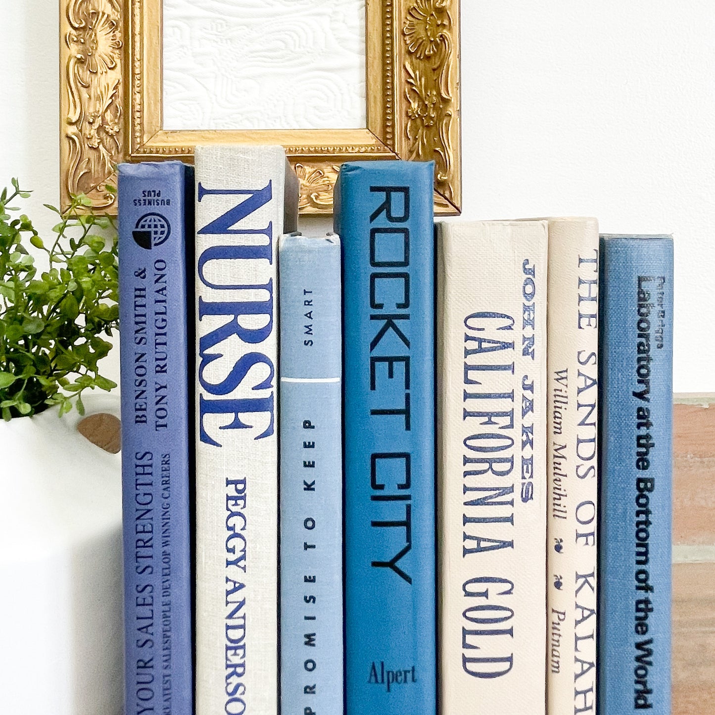 Blue and White Books for Shelf Decor