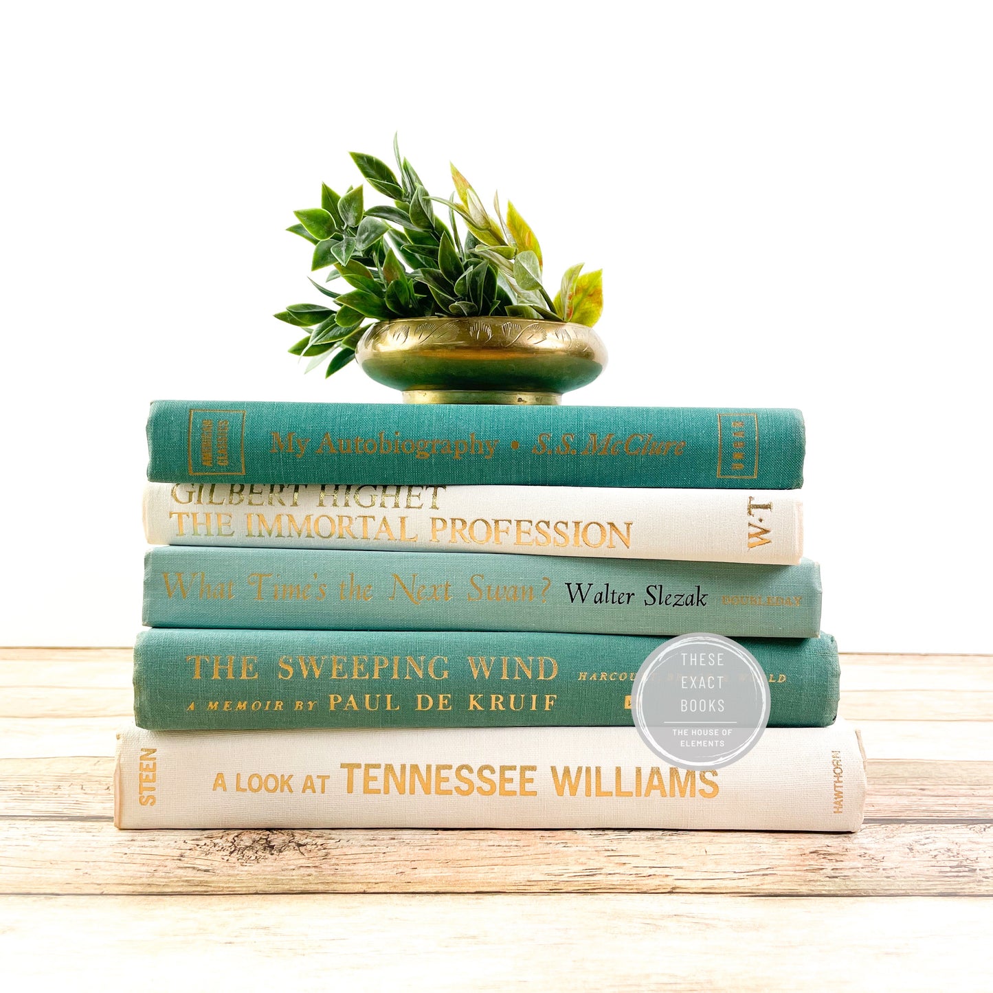 Modern Green Books for Home Decor