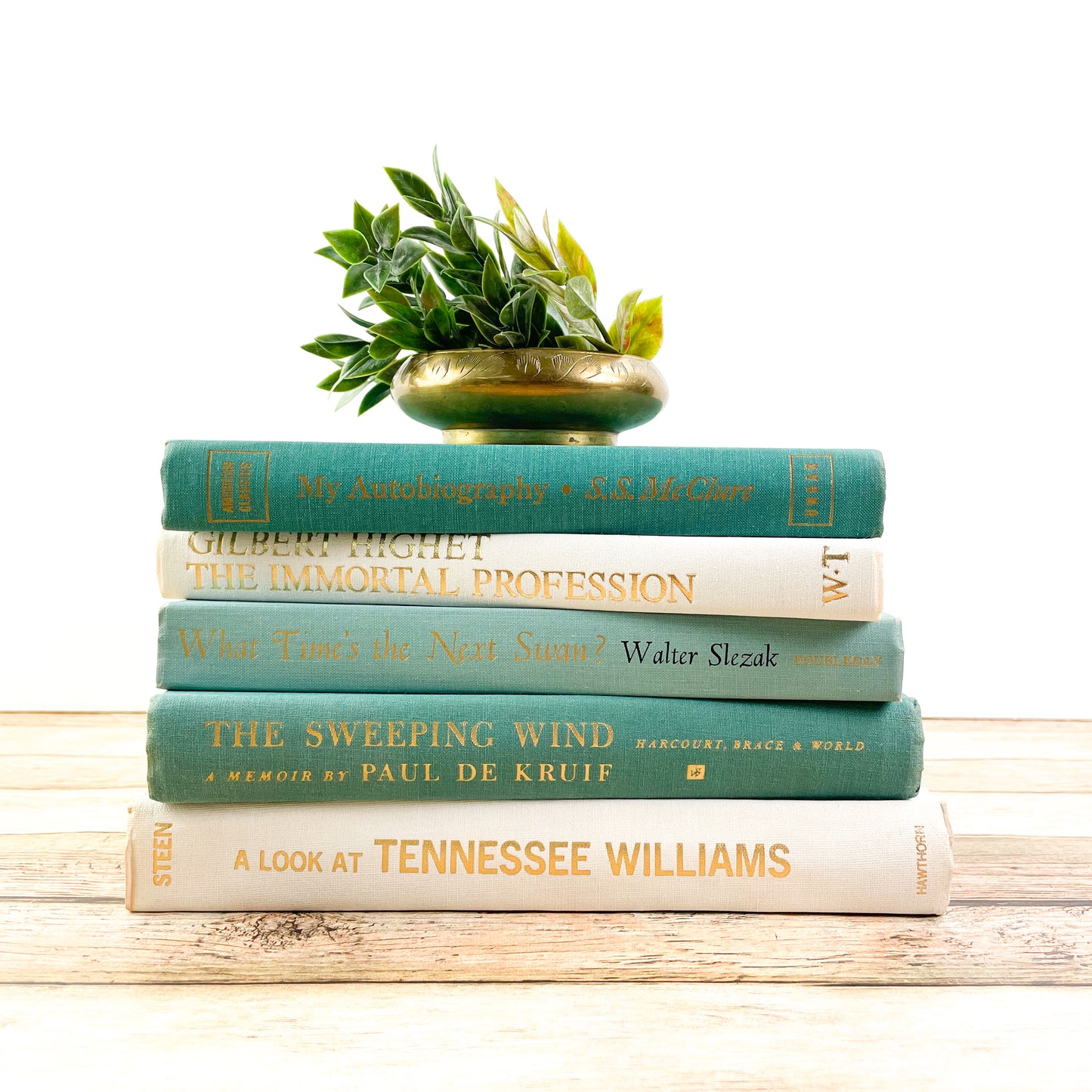Modern Green Books for Home Decor