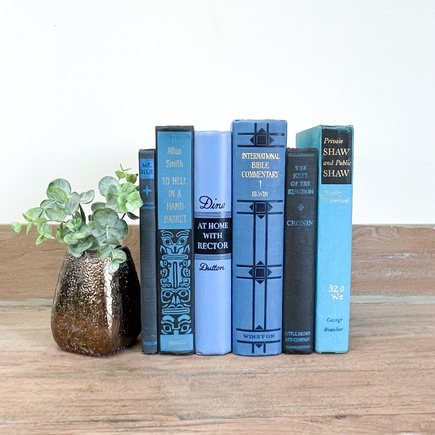 Black and Blue Accent Books for Shelf Decor