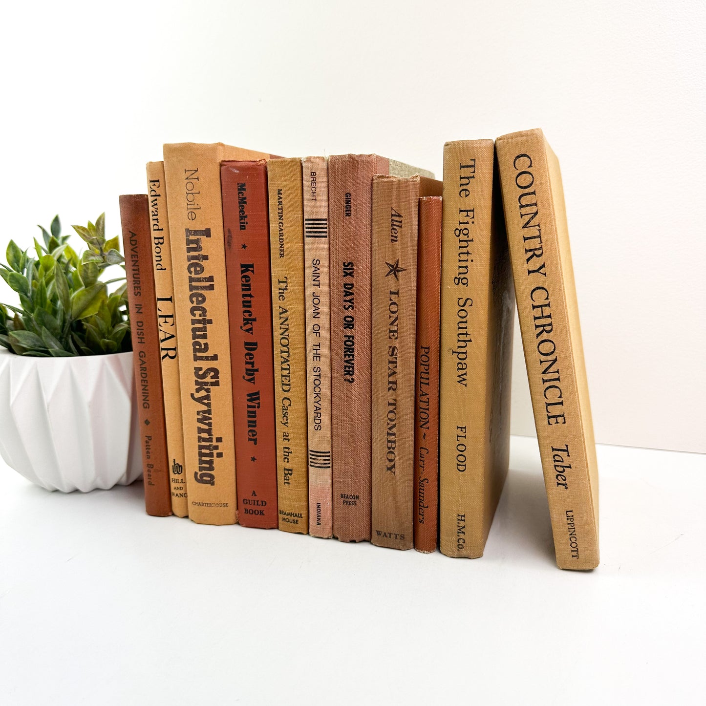 Books for Shelf Decor