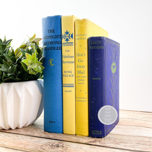 Yellow and Blue Books for Shelf Decor