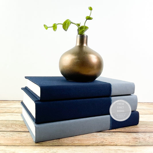 Shades of Blue Books for Decor