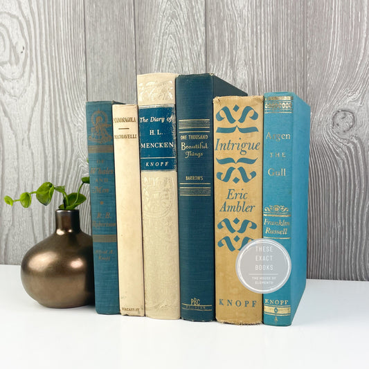 Blue and Cream Books for Decorative Accents