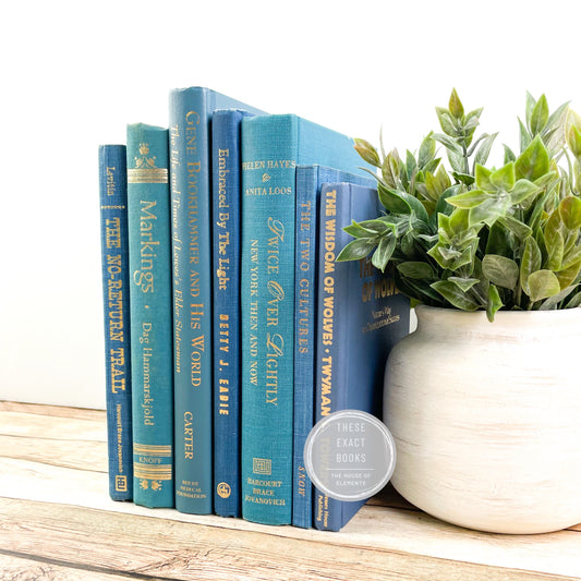 Modern Blue Books for Home Decor