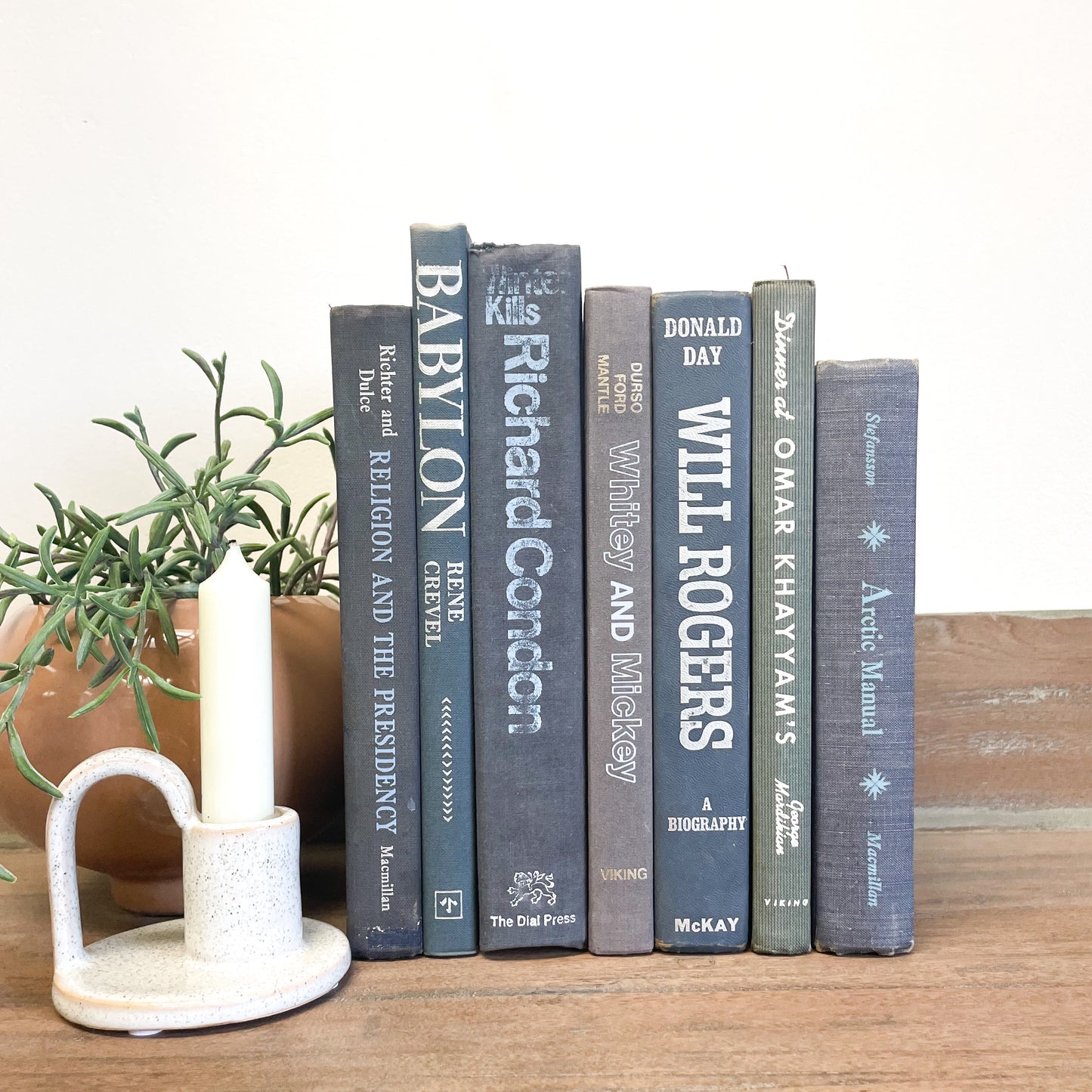 Blue Book Set for Shelf Decor