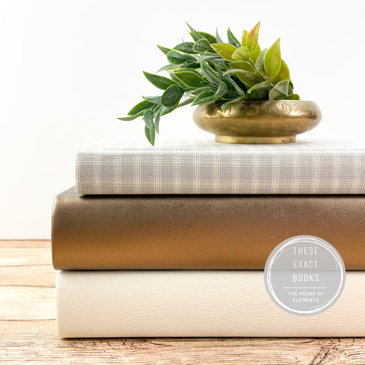 Neutral Decorative Bookshelf Decor