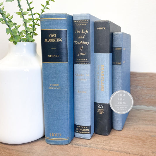 Books for Classic Design Shelf Decor