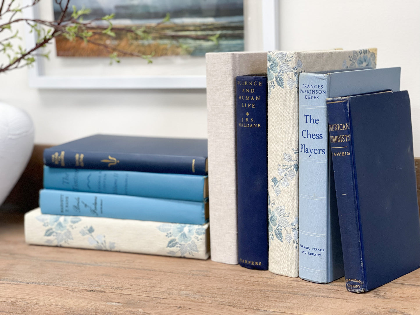 Decorative Books for Shelf Decor