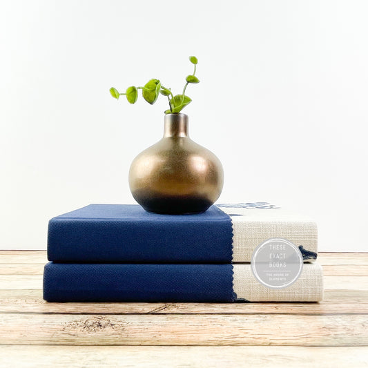 Navy Bookshelf Decor