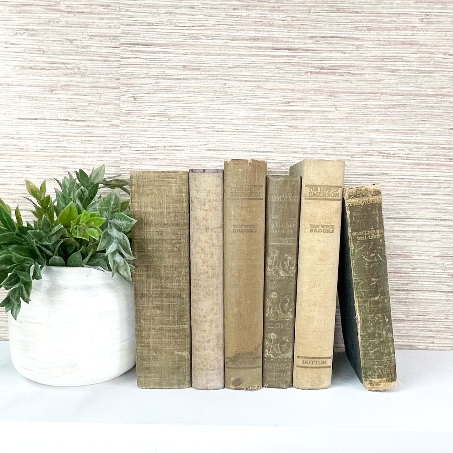 Rustic Blue Books for Shelf Accents