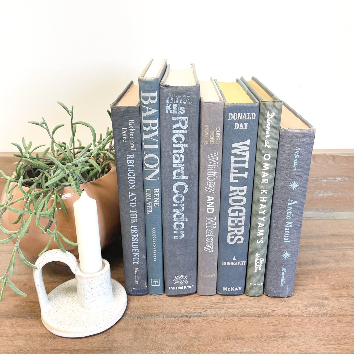 Blue Book Set for Shelf Decor