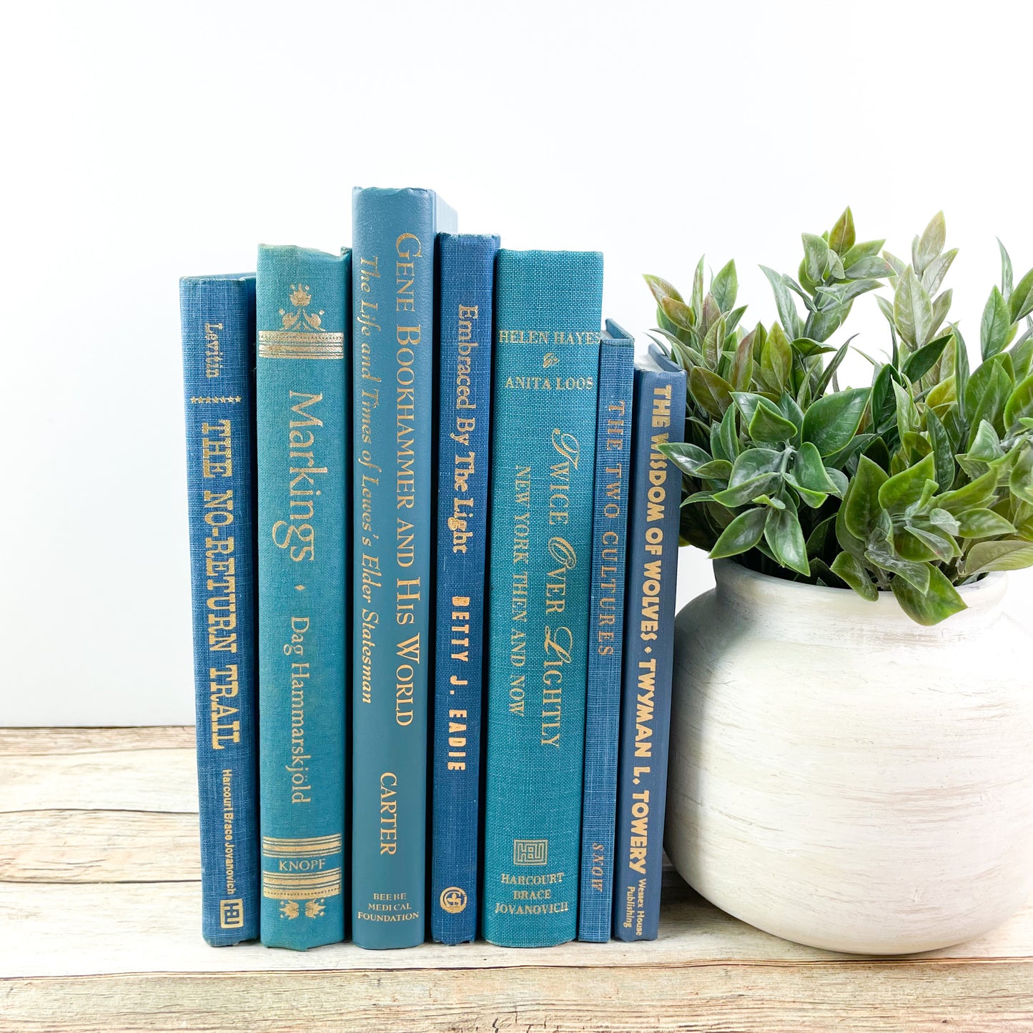 Modern Blue Books for Home Decor