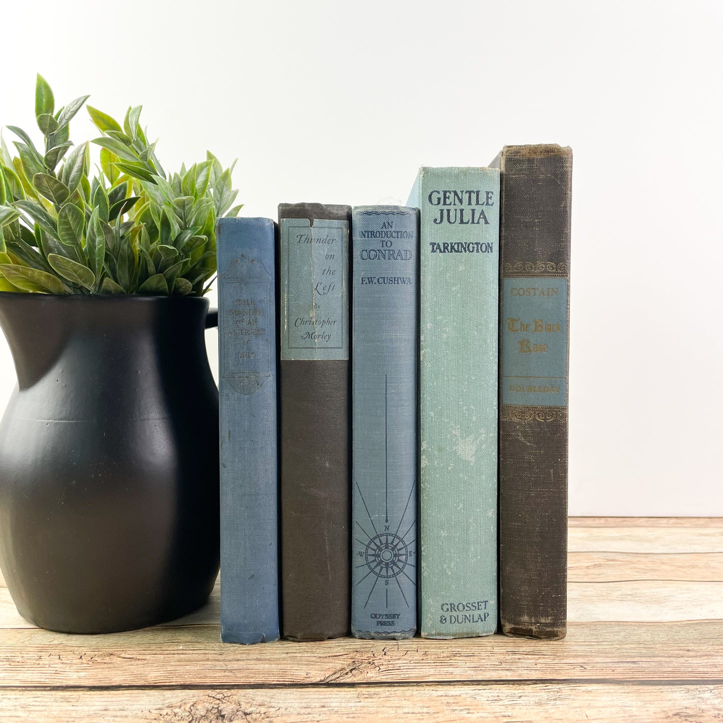 Blue and Black Books for Home Decor