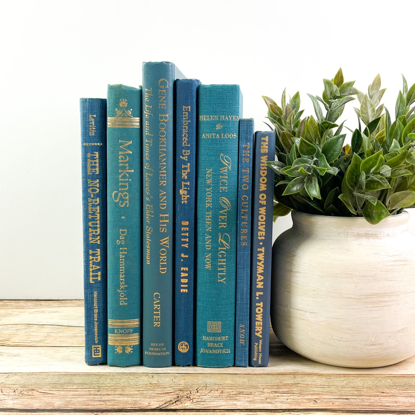 Modern Blue Books for Home Decor