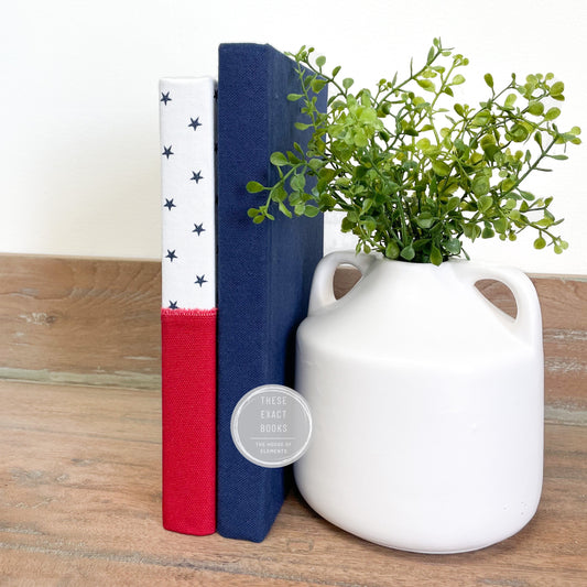Red White and Blue Patriotic Book Set