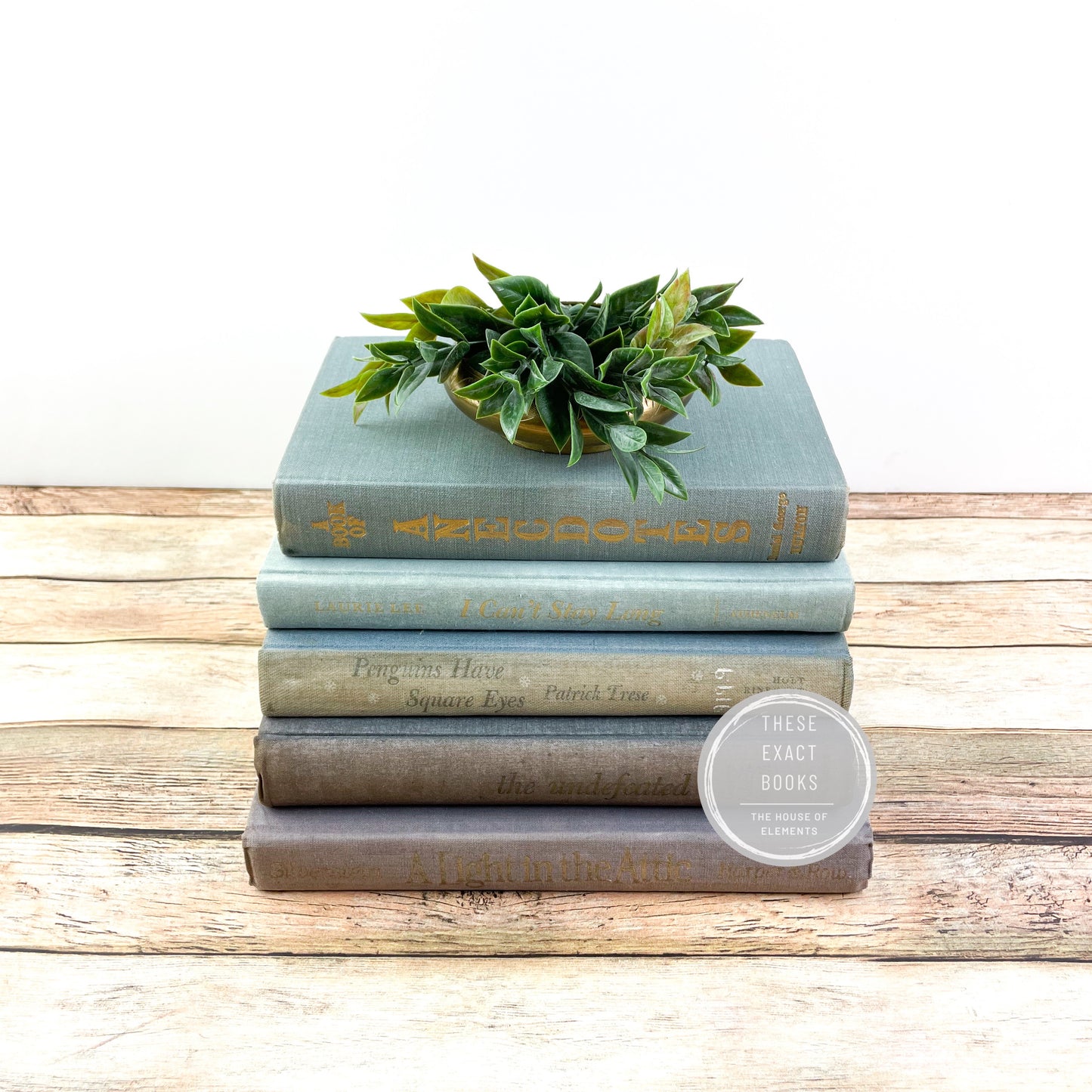 Muted Purple and Blue Books for Home Decorating