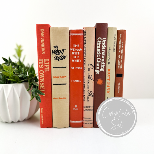 Orange and Brown Decor for Shelves