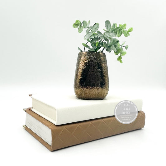 Neutral Books for Home Decor