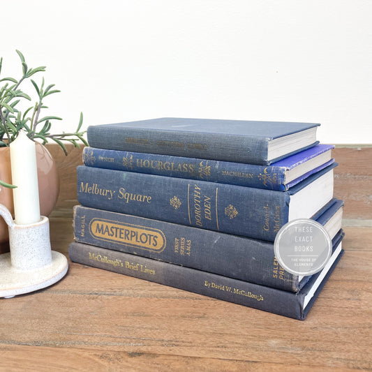 Vintage Blue Book Set for Shelf Decor