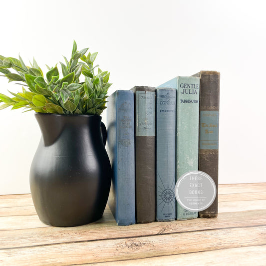 Blue and Black Books for Home Decor