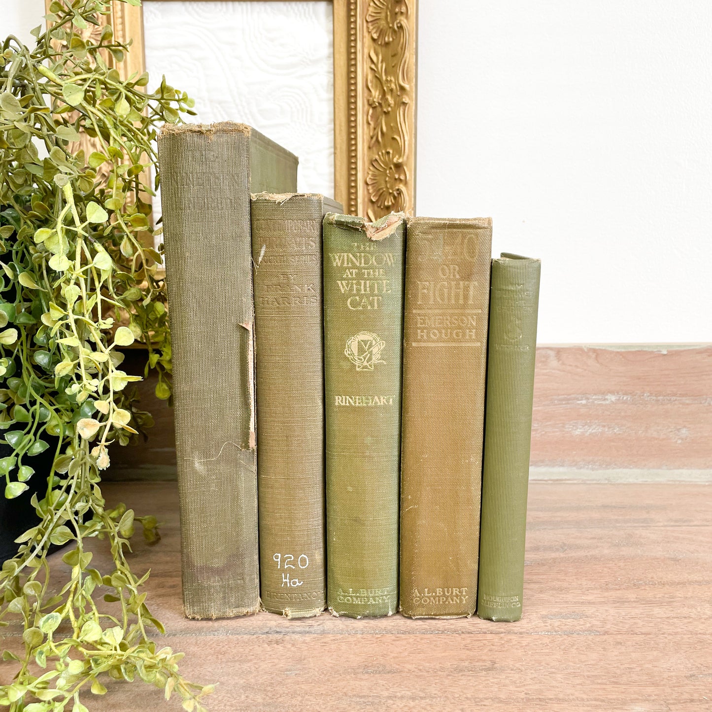 Vintage Green Book Set for Home Decor