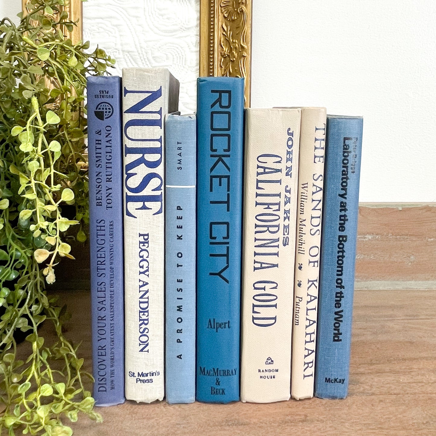 Blue and White Books for Shelf Decor