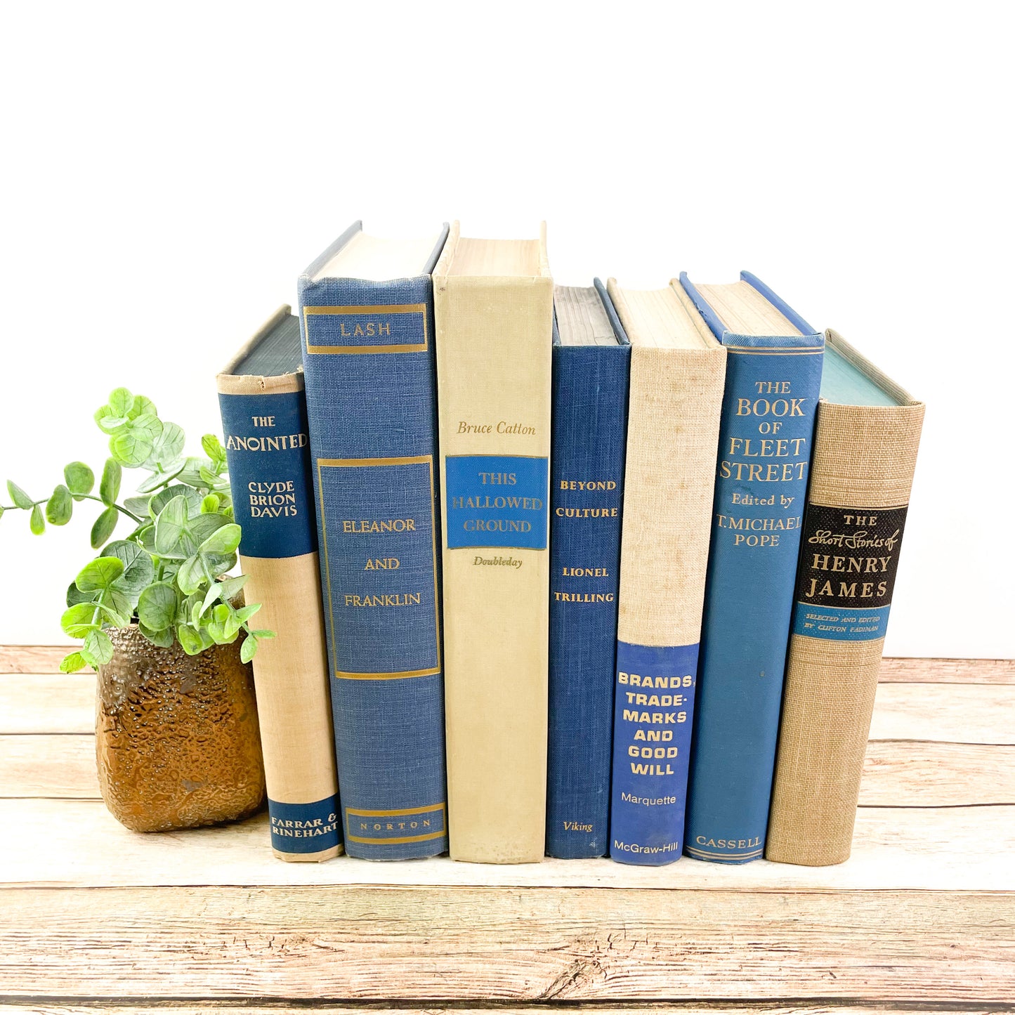 Blue and Cream Decorative Book Set for Home Decor